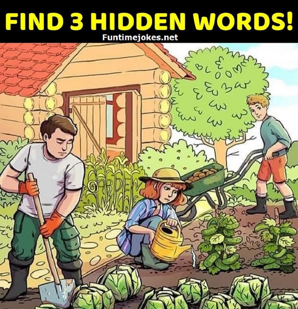 Find 3 hidden words in pictures with answers